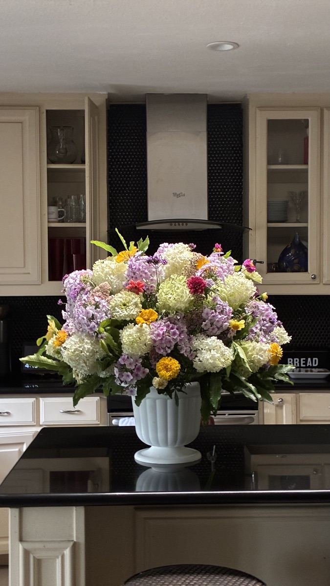 Lush white and lavender hydrangea
